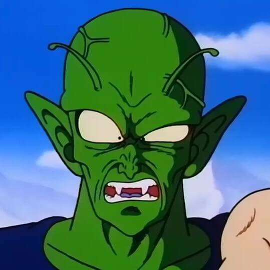 piccolo disgusted