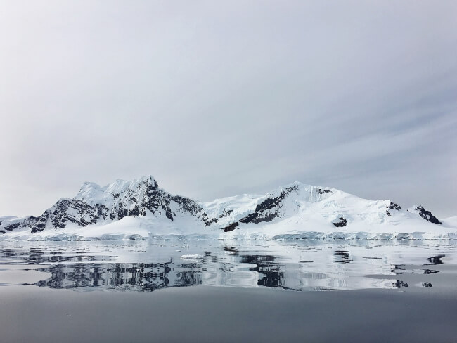 Picture taken in 2017 off the coast of Antarctica.
