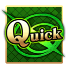 ST Quick NP
