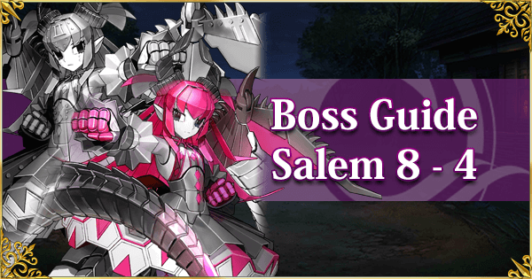 Salem Section 8-4 Boss Guide Banner