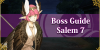 Salem Section 7 Boss Guide