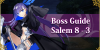 Salem Section 8-3 Boss Guide Banner