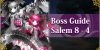 Salem Section 8-4 Boss Guide Banner