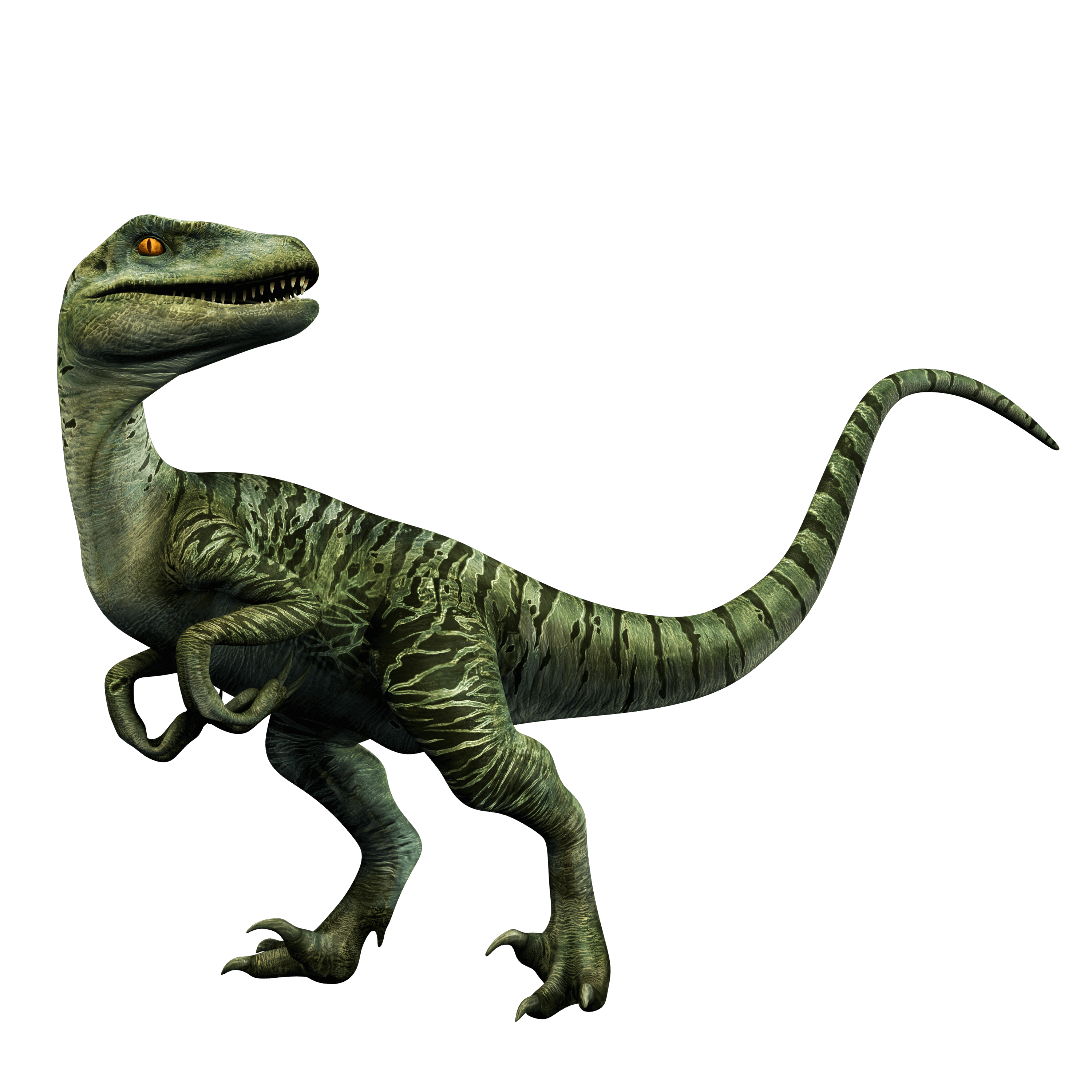 Jurassic World Raptor Png 