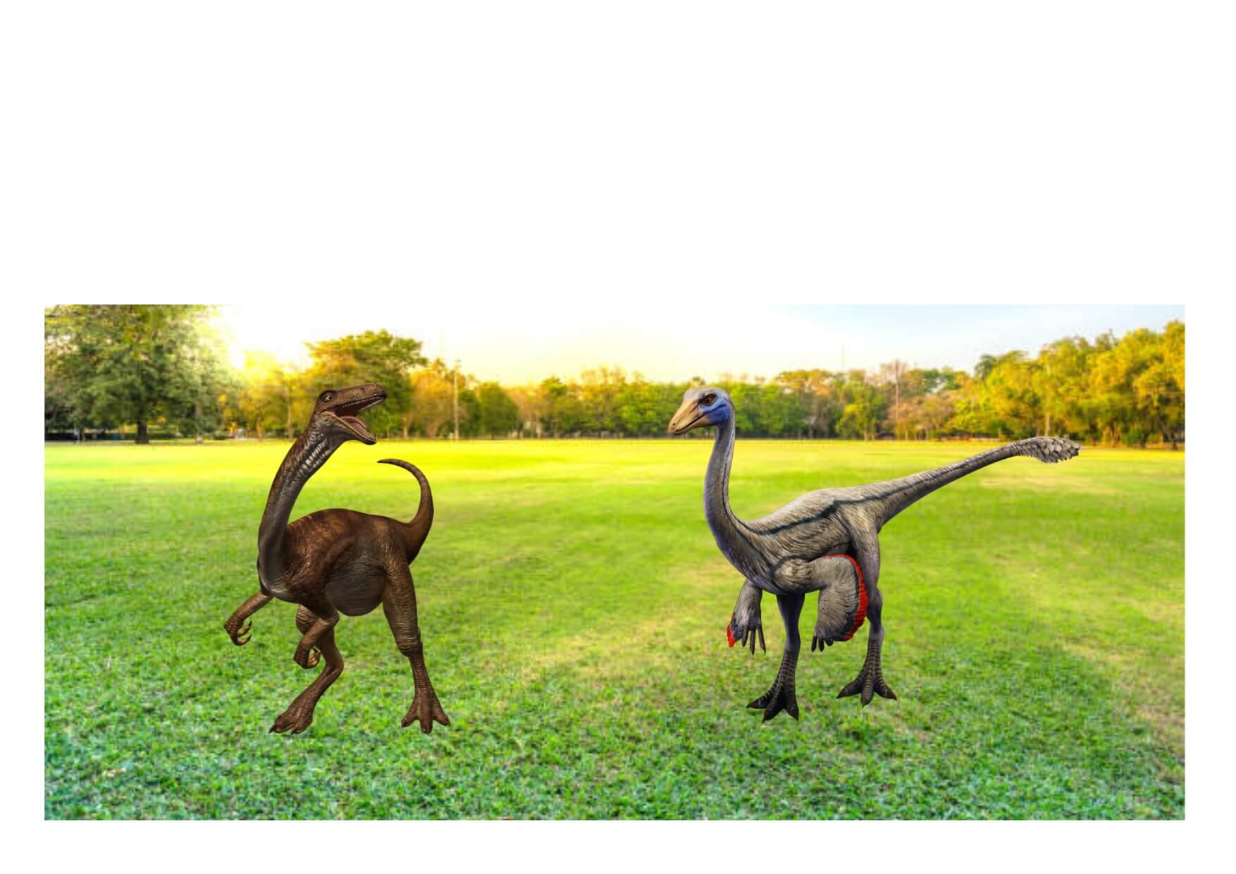 Ornithomimus and Gallimimus