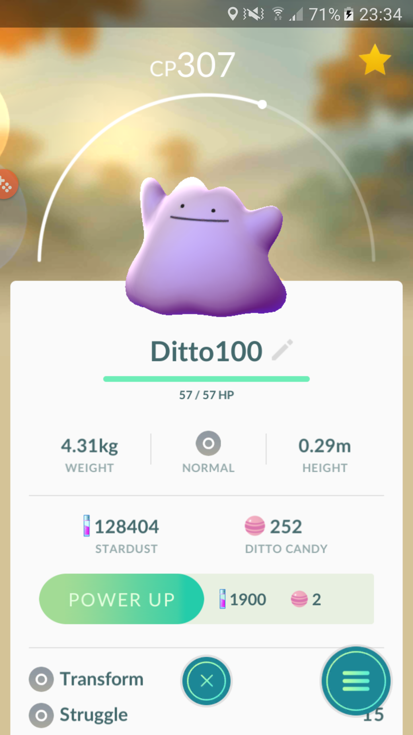 Ditto Chart