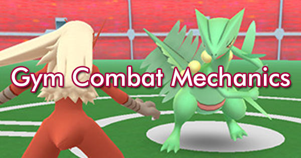 Gym Combat Mechanics