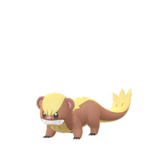 Yungoos All Available Shiny In Pokemon GO All Available Shiny In Pokemon GO