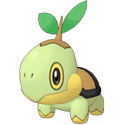 Turtwig, Wiki Pokémon Brasil