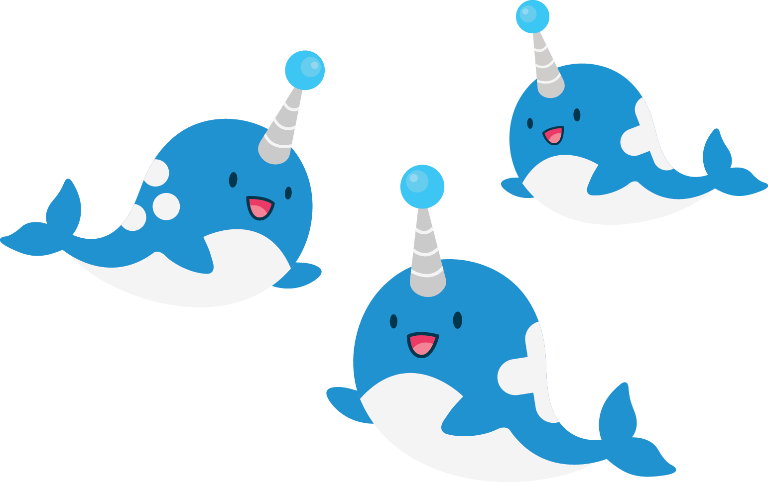 narwhal fam