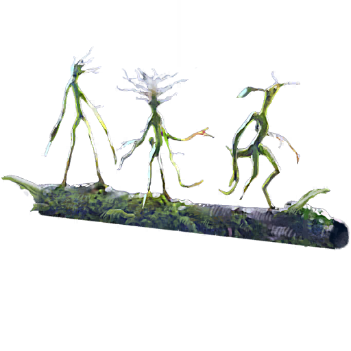 Branch of Bowtruckles