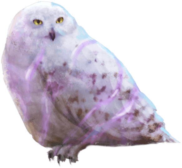 Brilliant Hedwig