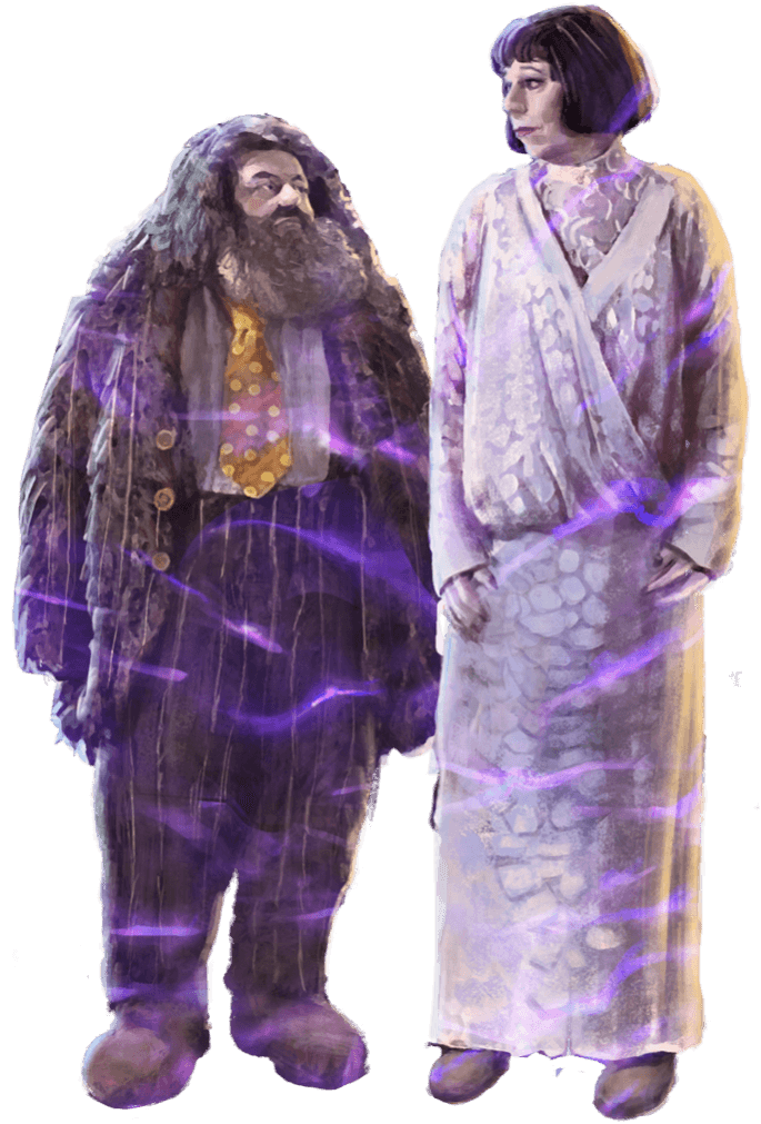 Hagrid and Madame Maxime in their Yule Ball outfits.