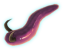 Horned Slug