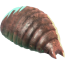Flobberworm