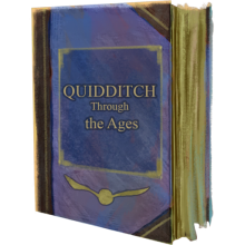 Quidditch Through the Ages Book
