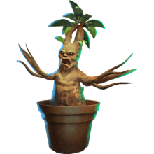 Baby Mandrake